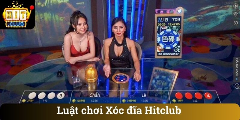 Luat choi Xoc dia Hitclub Luật chơi Xóc đĩa Hitclub