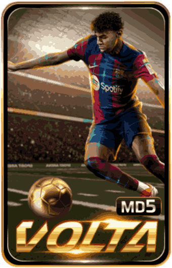 Volta MD5